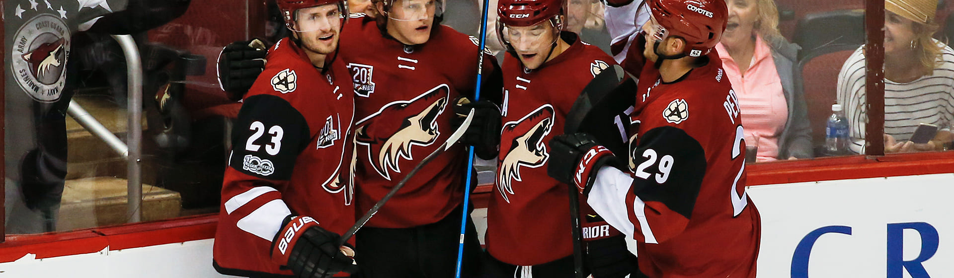 Arizona Coyotes