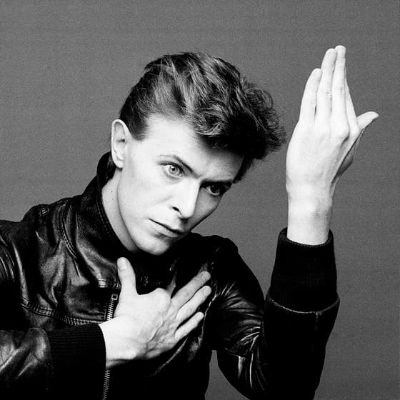Хлопковые свитшоты David Bowie