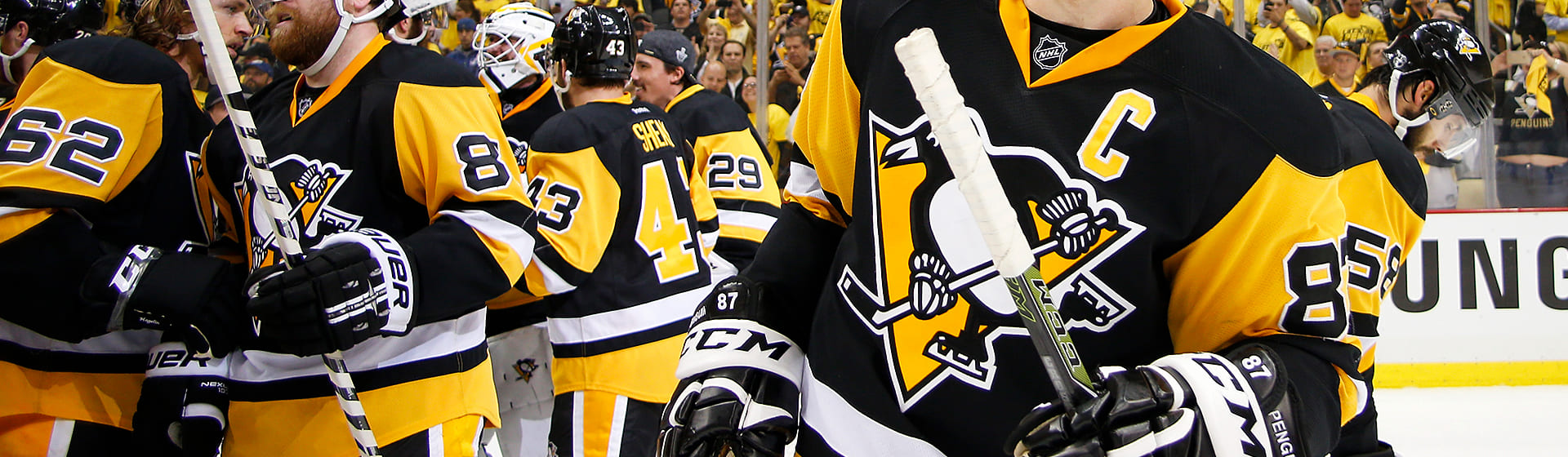 Pittsburgh Penguins - Мужские 3D-лонгсливы