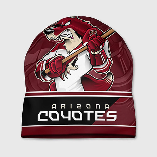 Хоккейные аксессуары Arizona Coyotes