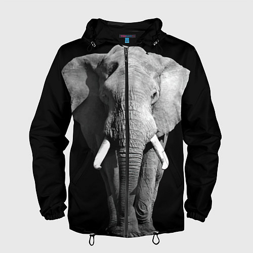 Мужская одежда со слонами