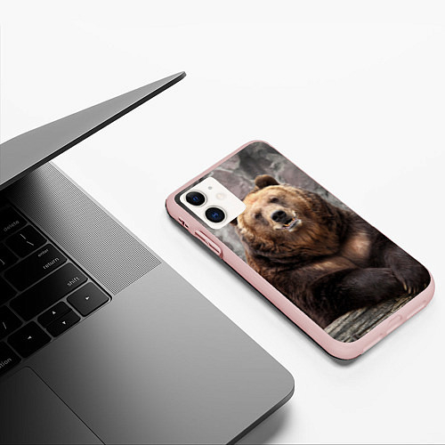 Чехлы iPhone 11 с медведями