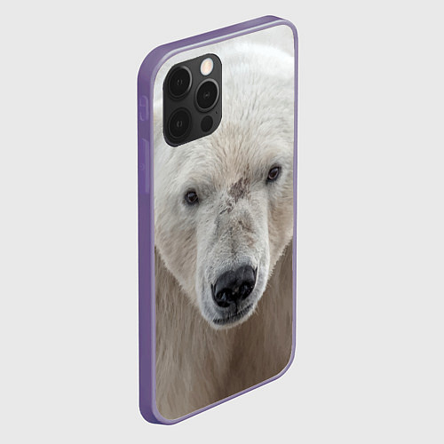 Чехлы iPhone 12 серии с медведями