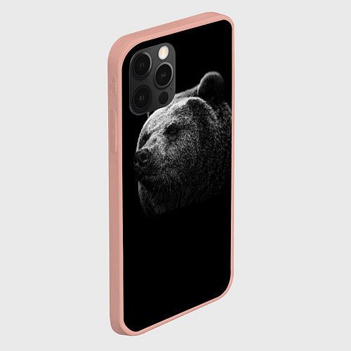 Чехлы iPhone 12 series с медведями