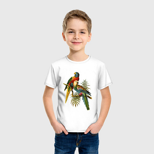 Детские футболки с птицами