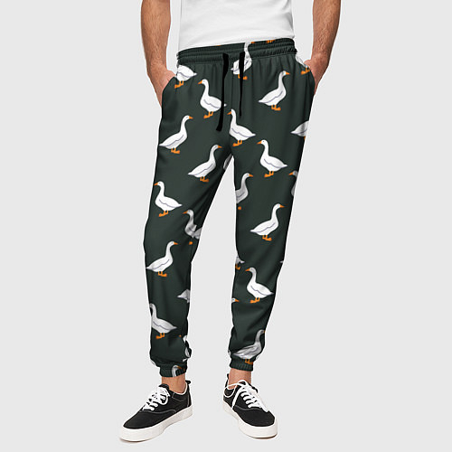 Мужские брюки с птицами