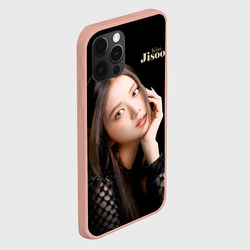 Чехлы iPhone 12 Pro Black Pink