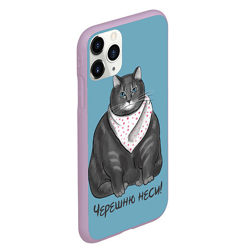 Чехлы iPhone 11 серии с котами и кошками