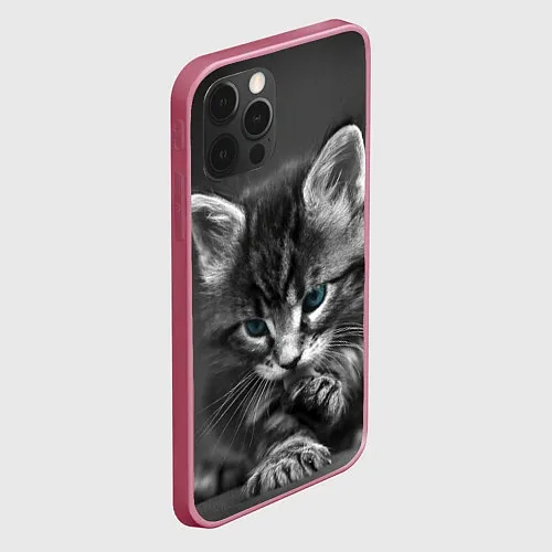 Чехлы iPhone 12 Pro с котами и кошками