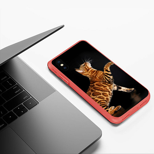 Чехлы для iPhone XS Max с котами и кошками