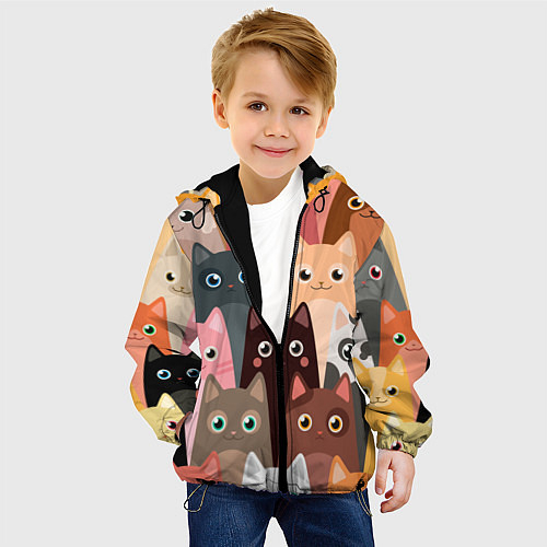 Детские куртки с капюшоном с котами и кошками