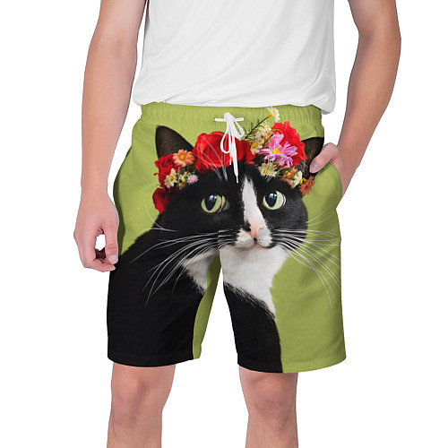 Мужские шорты с котами и кошками