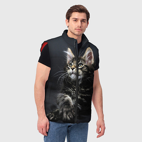 Мужские жилетки с котами и кошками