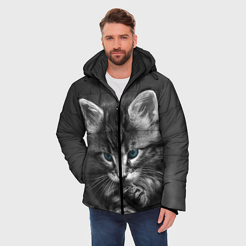 Зимние куртки с котами и кошками