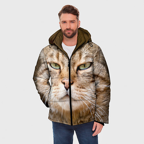 Куртки с котами и кошками