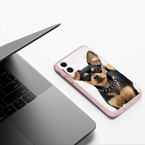 Чехлы iPhone 11 series с собаками