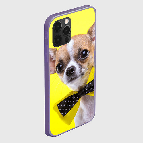 Чехлы iPhone 12 Pro Max с собаками