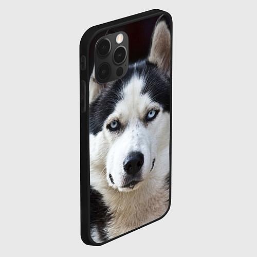 Чехлы iPhone 12 series с собаками