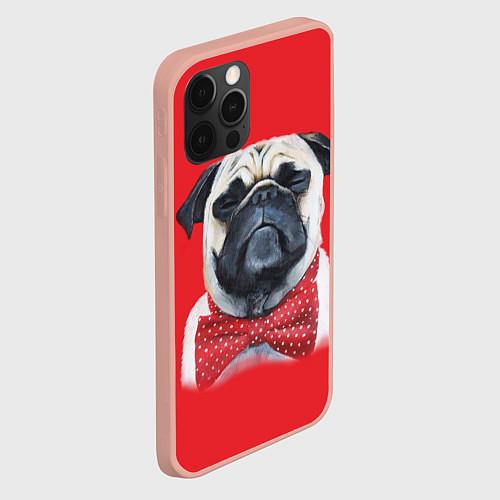 Чехлы iPhone 12 series с собаками
