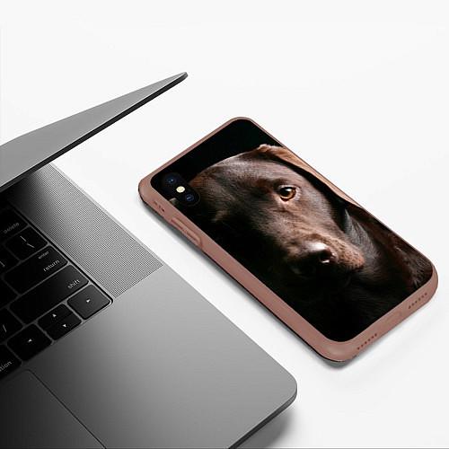 Чехлы для iPhone XS Max с собаками