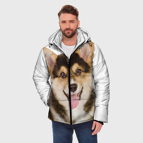 Мужские куртки с капюшоном с собаками