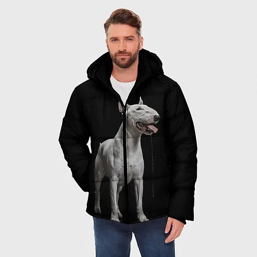 Мужские куртки с капюшоном с собаками