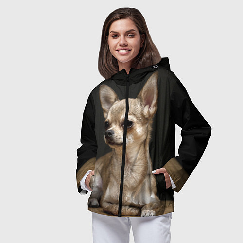 Женские ветровки с собаками