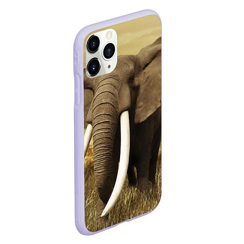 Чехлы iPhone 11 series со слонами