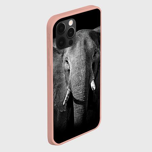 Чехлы iPhone 12 series со слонами
