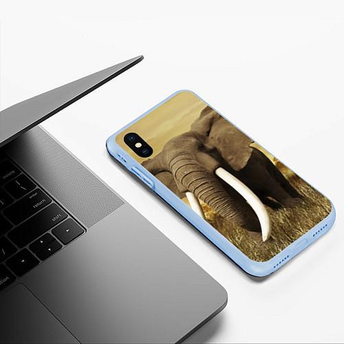 Чехлы для iPhone XS Max со слонами