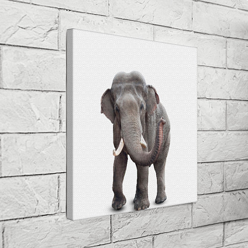 Холсты на стену со слонами