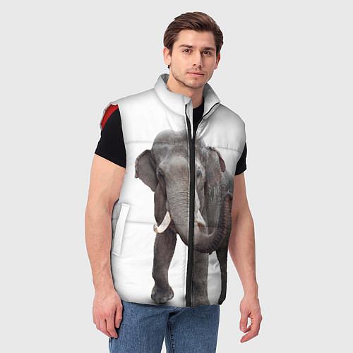 Мужские жилетки со слонами