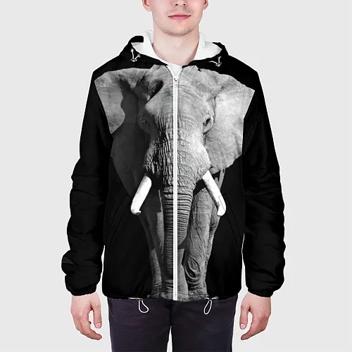 Куртки с капюшоном со слонами