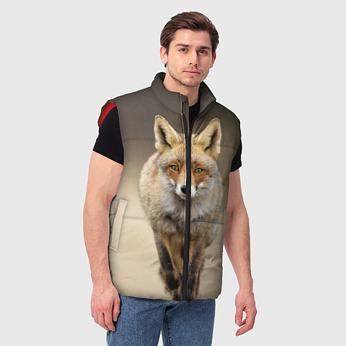 Мужские жилетки с лисами