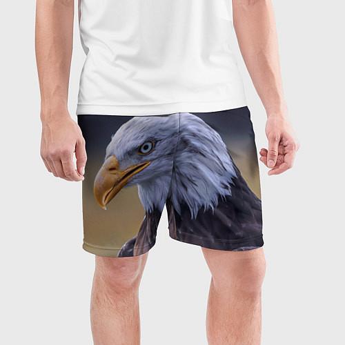 Мужские шорты с ястребами