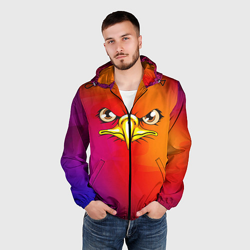 Мужские ветровки с ястребами