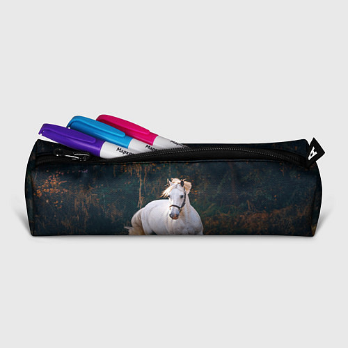 Школьные пеналы с лошадьми