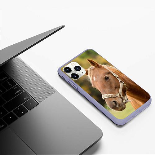 Чехлы iPhone 11 series с лошадьми