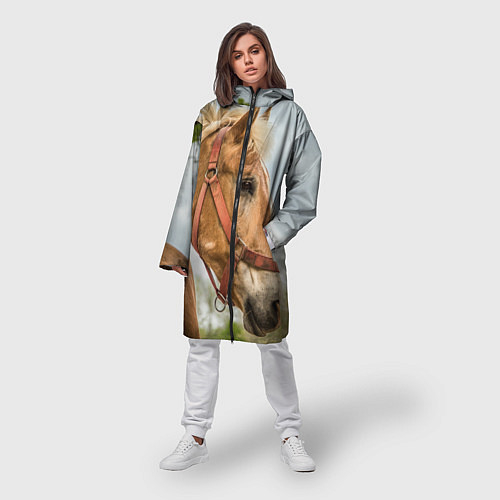 Женские ветровки с лошадьми