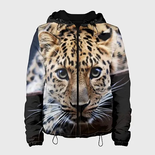 Женская одежда с леопардами