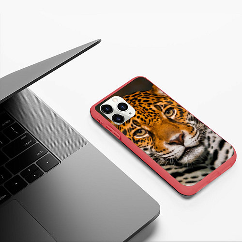 Чехлы iPhone 11 серии с леопардами
