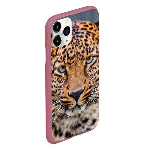 Чехлы iPhone 11 series с леопардами