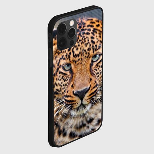Чехлы iPhone 12 Pro Max с леопардами