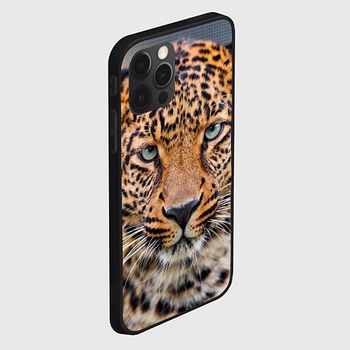 Чехлы iPhone 12 серии с леопардами