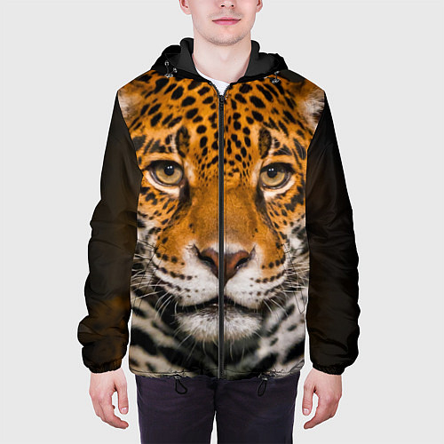 Демисезонные куртки с леопардами