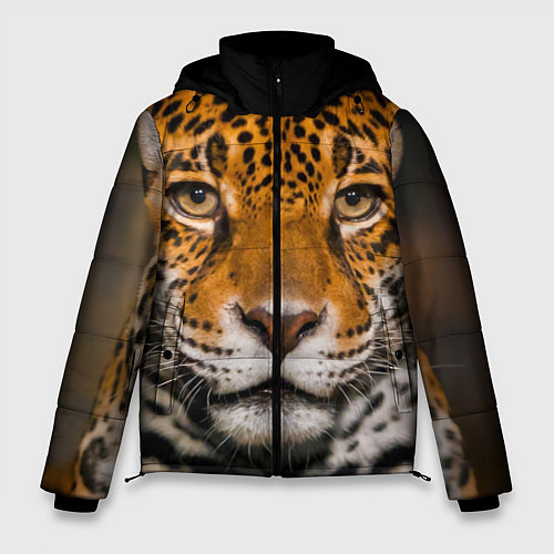 Куртки с леопардами