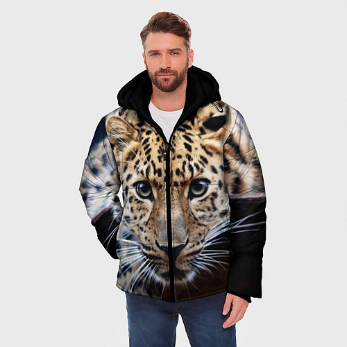 Куртки с капюшоном с леопардами