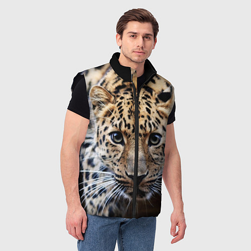 Жилеты с леопардами