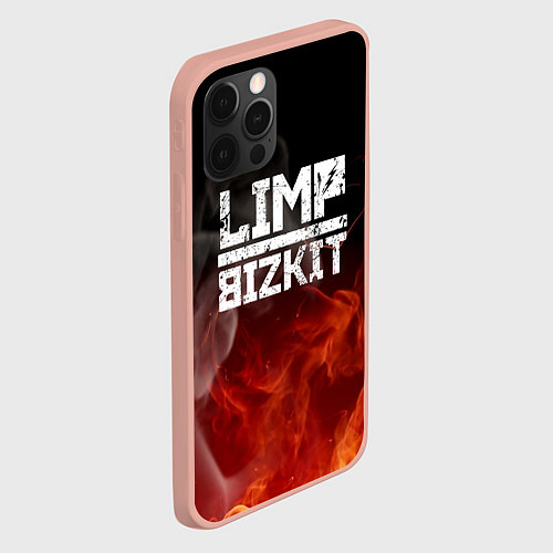 Чехлы iPhone 12 series Limp Bizkit