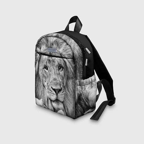 Рюкзаки со львами